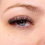 5 DAYS LASH PRO CERTIFICATION TRAINING